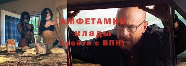 стаф Новодвинск