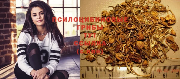стаф Новодвинск
