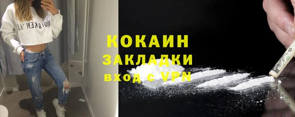 стаф Новодвинск