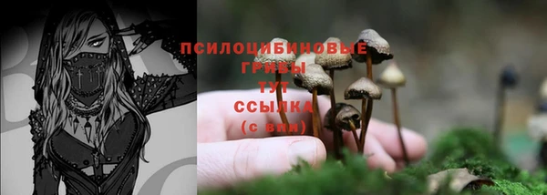 кристаллы Новокубанск