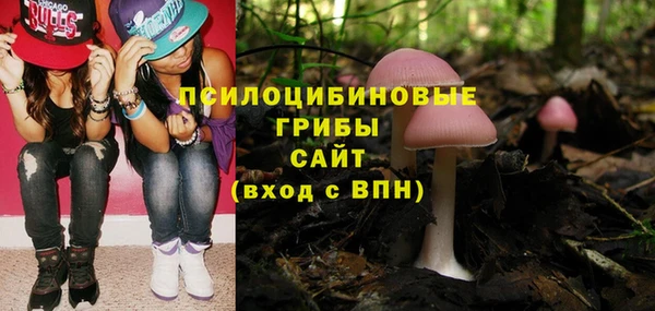 стаф Новодвинск