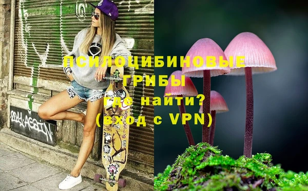 гашиш Новозыбков