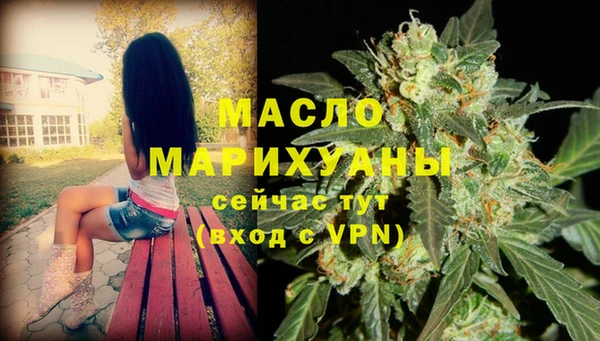 стаф Новодвинск